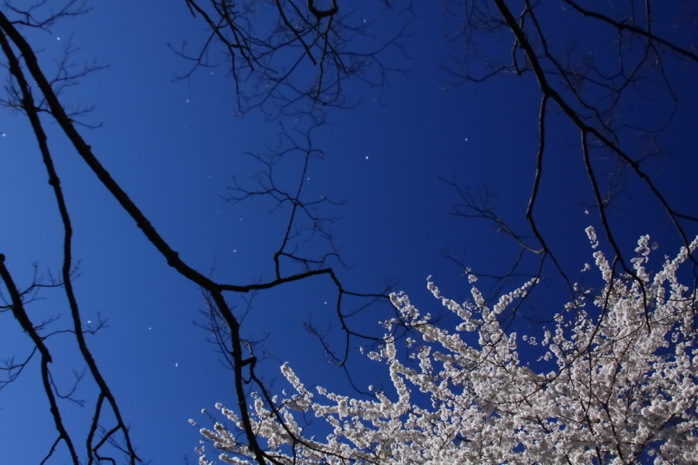 2012 04 04 9999 262